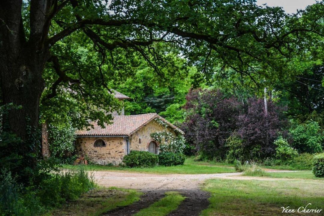 Domaine Des Roches Blanches Villa Le Pin  Exterior photo